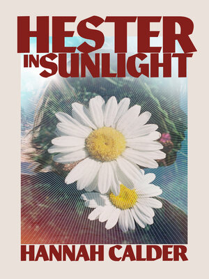 cover image of Hester in Sunlight